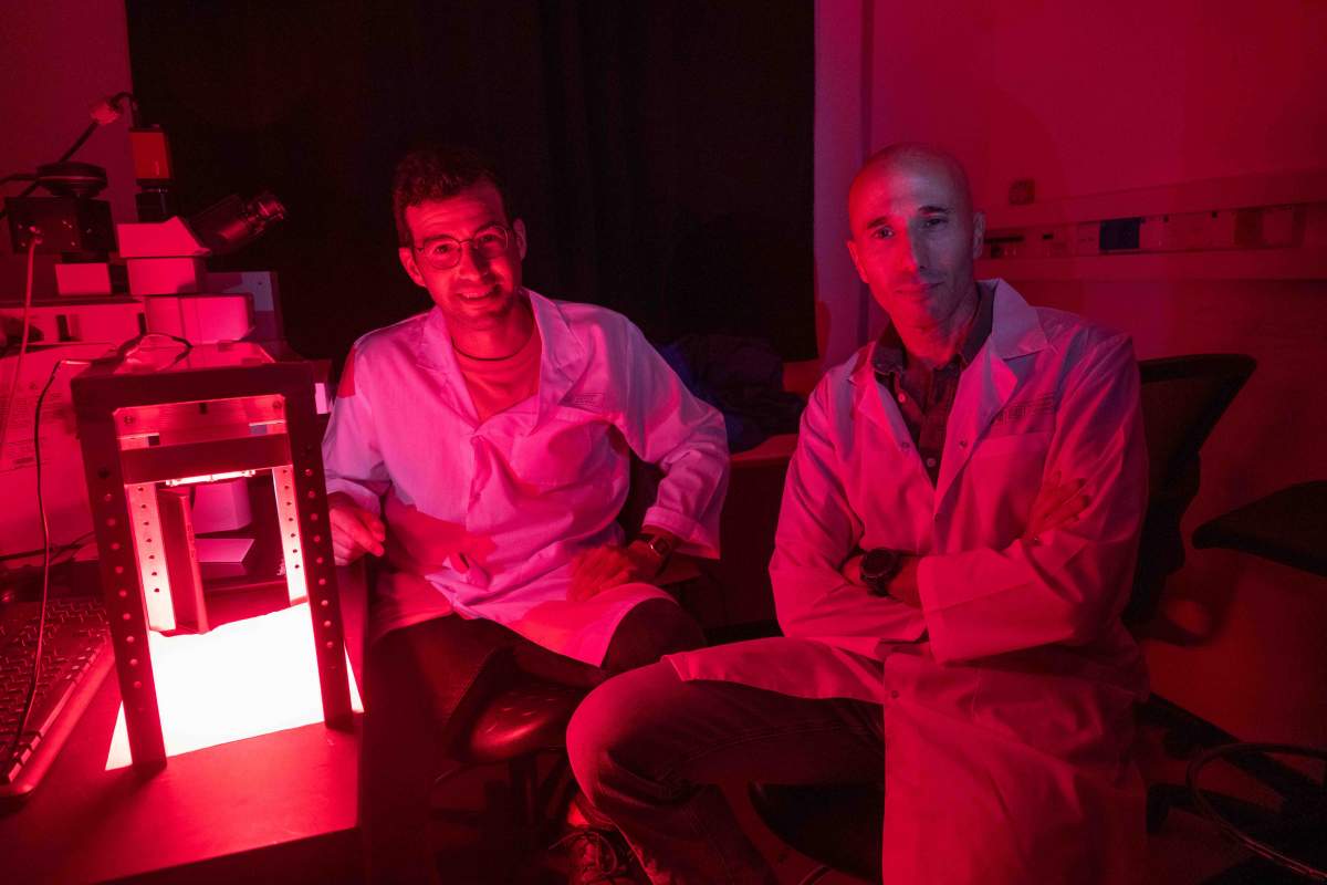 (g-d) Dr. Daniel Zelmanoff and Prof. Ofer Yizhar. Crimson curiosity