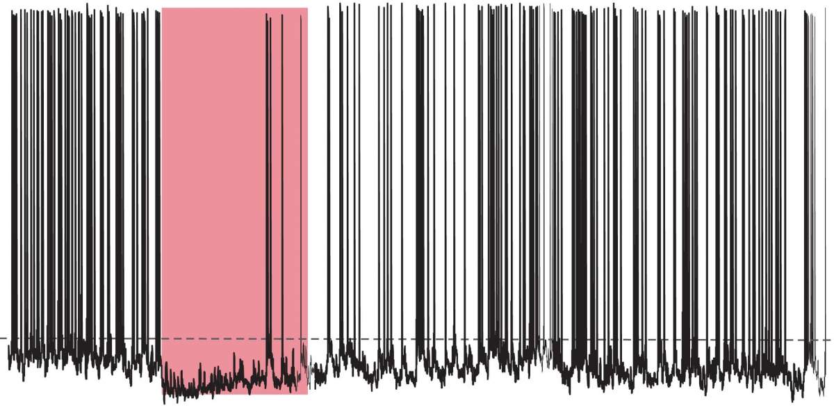 Activité électrique enregistrée à partir de cellules cérébrales productrices d'ocytocine portant un gène inséré pour une protéine sensible à la lumière. Lorsqu'elles étaient exposées à une faible lumière rouge, les cellules cessaient de fonctionner ; une fois la lumière éteinte, leur activité reprenait progressivement.