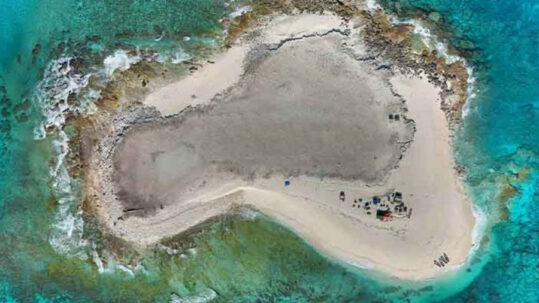 Sortir du laboratoire et aller dans la nature : aller au bout du monde pour mieux comprendre le cerveau