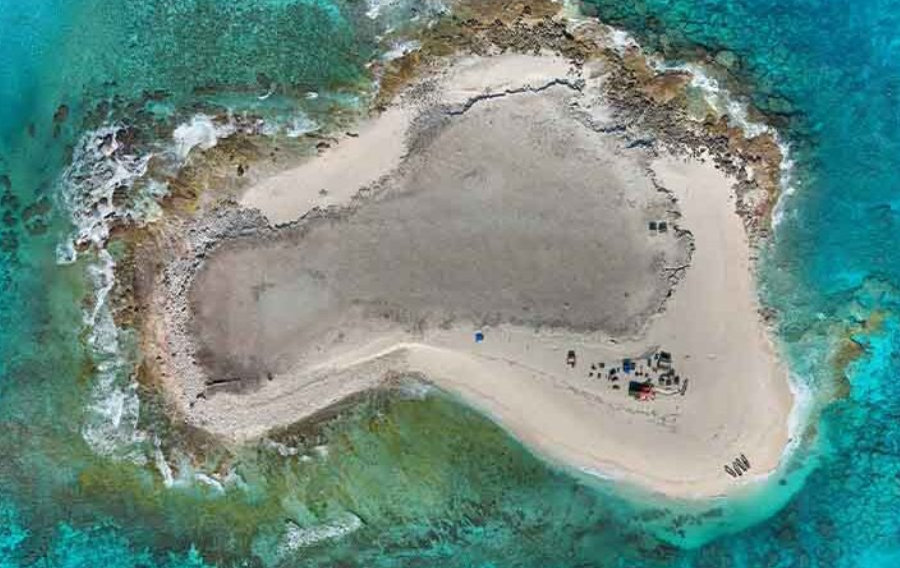 Sortir du laboratoire et aller dans la nature : aller au bout du monde pour mieux comprendre le cerveau