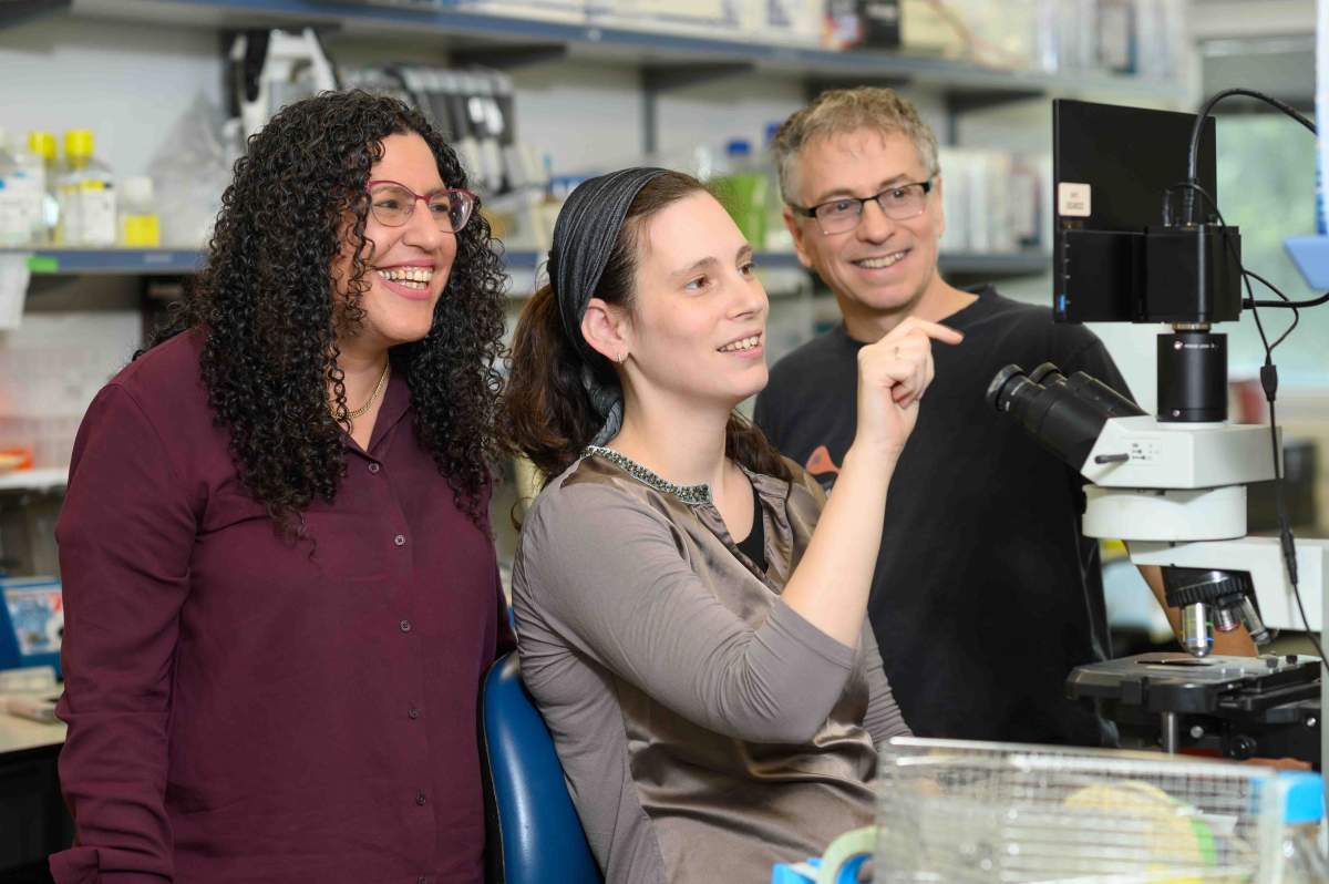 (de gauche à droite) Dr Orna Dahan, Dr Sivan Kaminski Strauss et le professeur Yitzhak Pilpel
