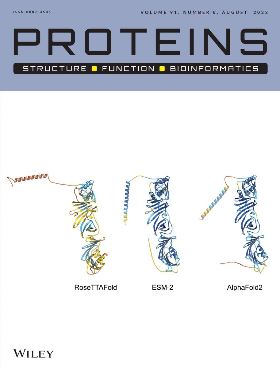 Les structures 3D d'une protéine "nouvellement née", prédites par trois outils d'intelligence artificielle différents, sur la couverture de la revue. 