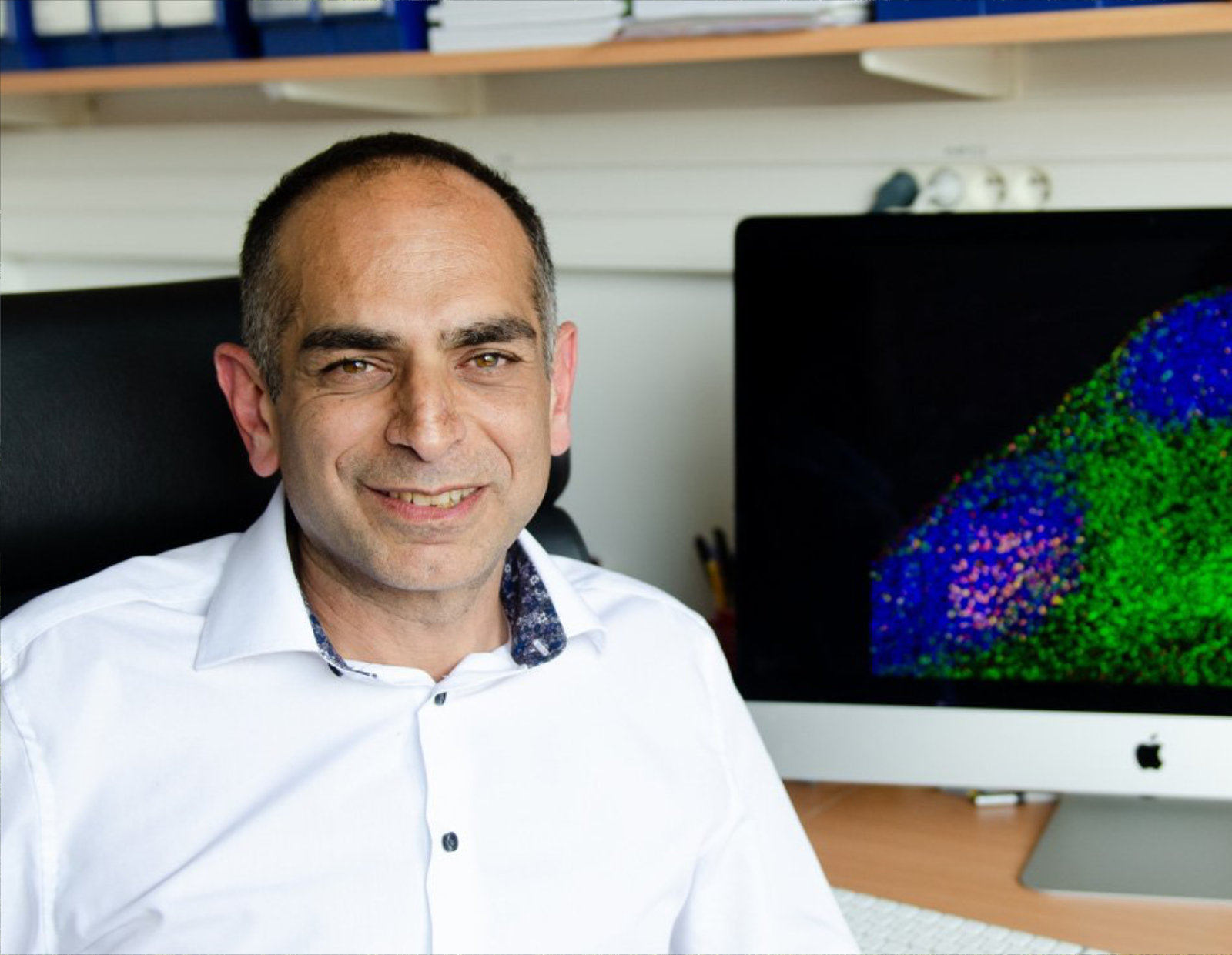 Professeur Philippe Bousso