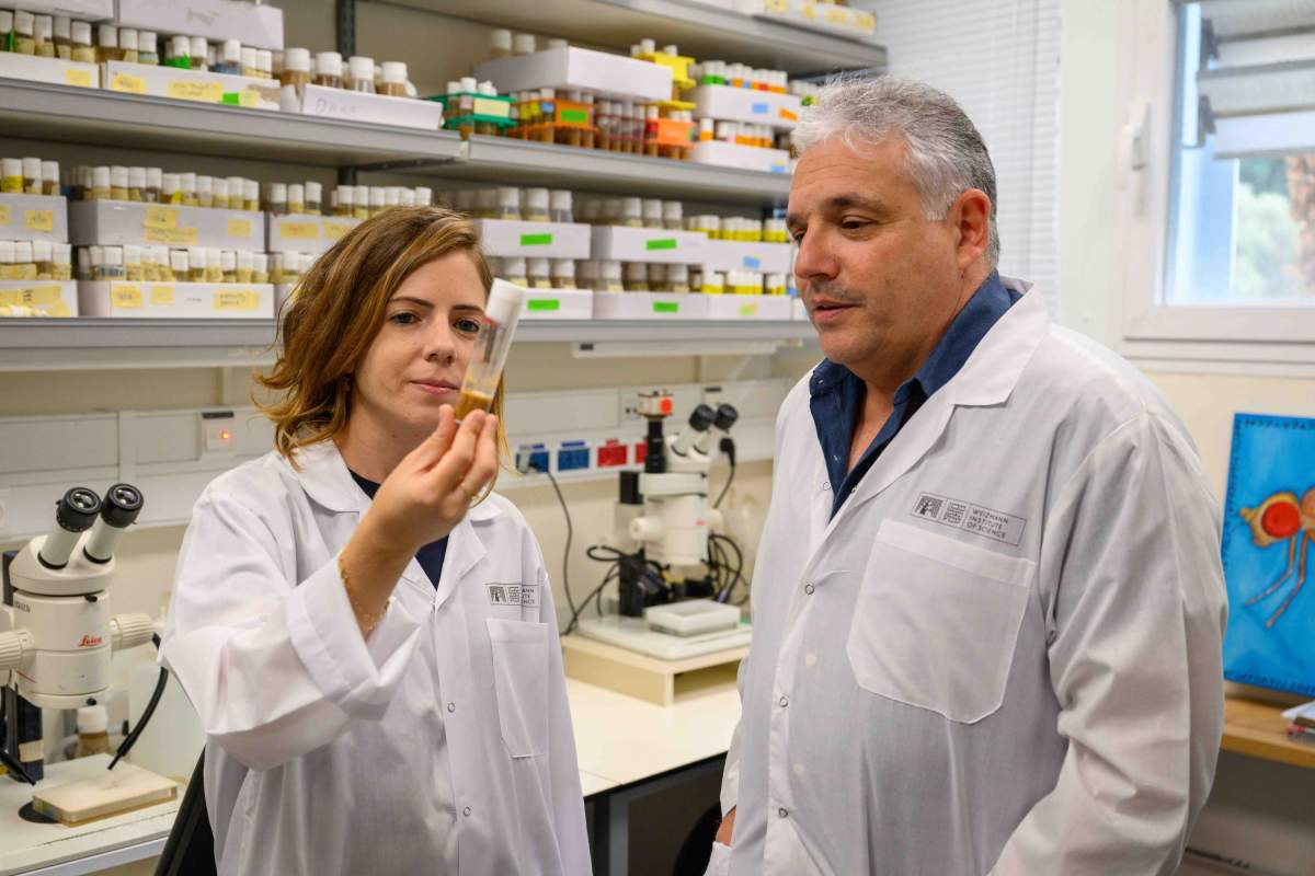 (l-r) Dr. Tslil Braun and Prof. Eli Arama