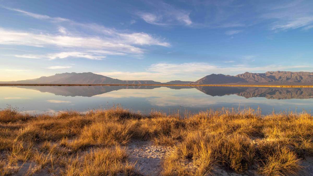 Le bassin de Cuatro Ciénegas dans l'État mexicain de Coahuila / Shutterstock 
