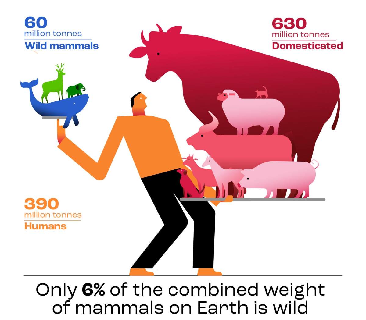 Un lourd déséquilibre : La biomasse des humains, du bétail, des animaux domestiques et des mammifères sauvages