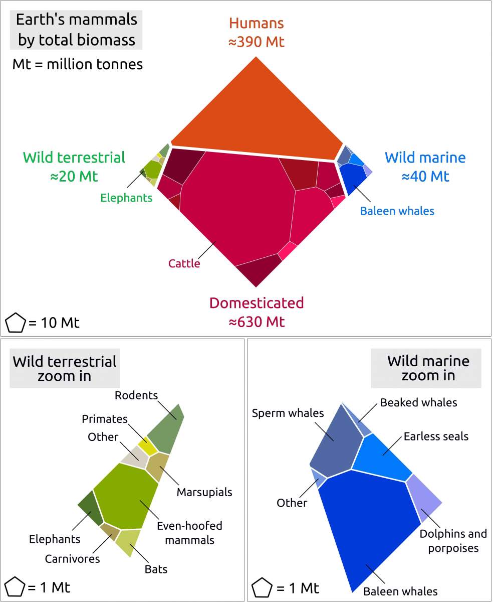 la biomasse des mammifères de la Terre était une courtepointe en patchwork, voici à quoi elle ressemblerait.