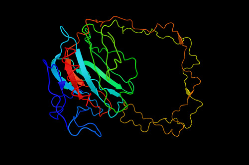 cell-2 | Weizmann France