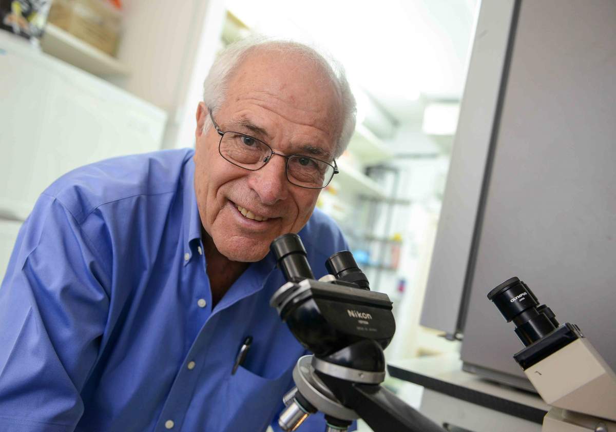 Prof. Zelig Eshhar, 2014
