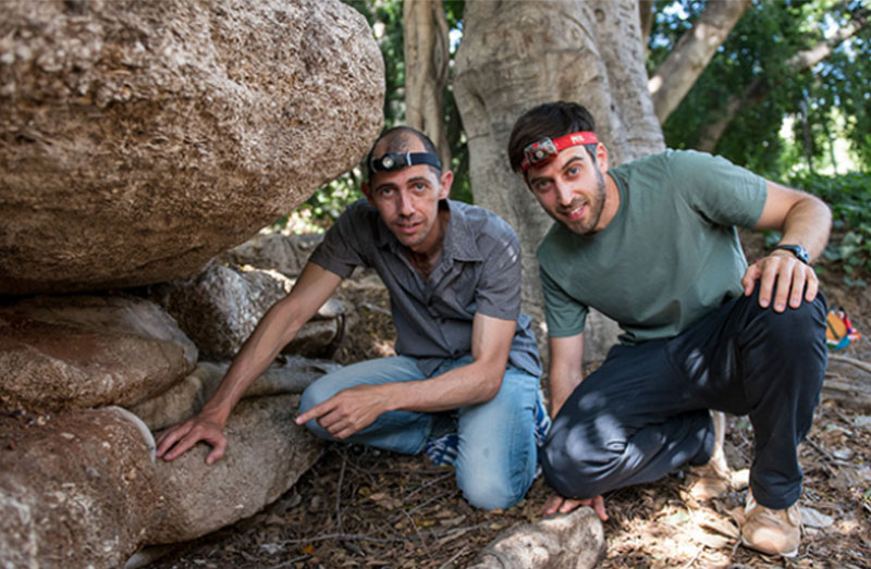 Ces champignons invisibles qui aident la forêt