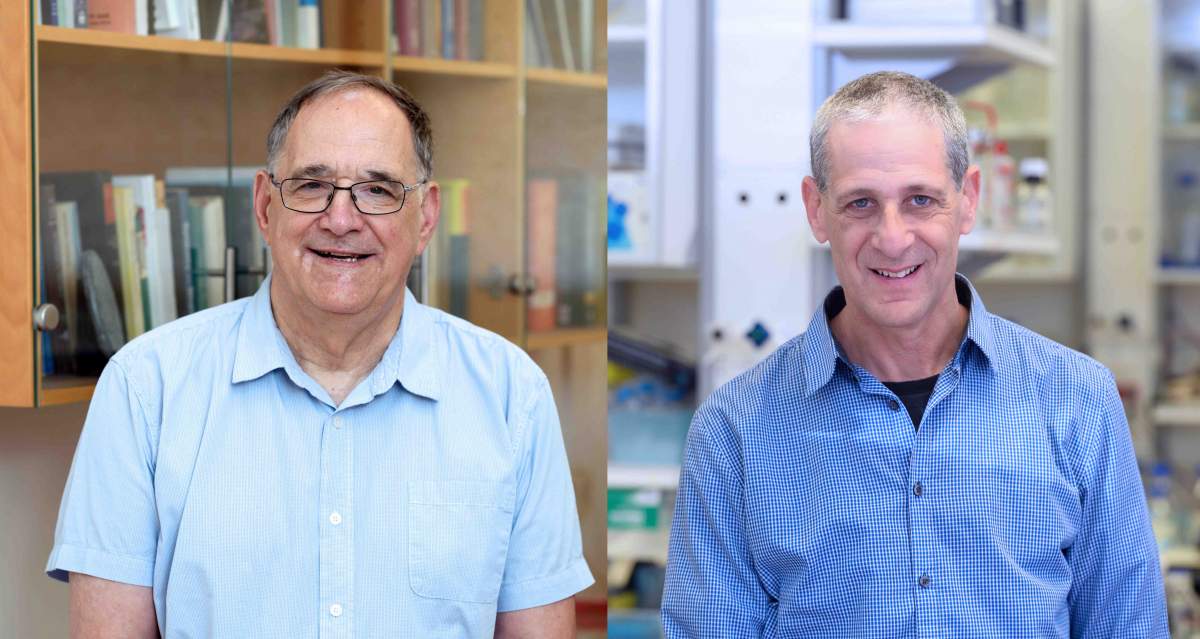 (de gauche à droite) Le professeur Ron Naaman et le professeur Yossi Paltiel