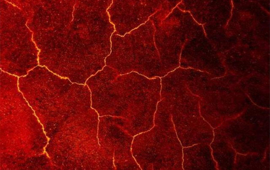 Du cratère volcanique au laboratoire : une leçon de survie