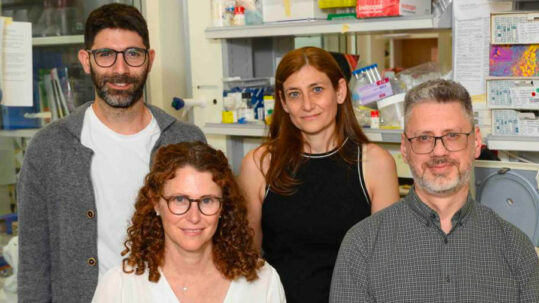 (g_d) standing: Chen Weller and Dr. Osnat Bartok; seated: Prof. Yardena Samuels and Dr. Dmitry Malko