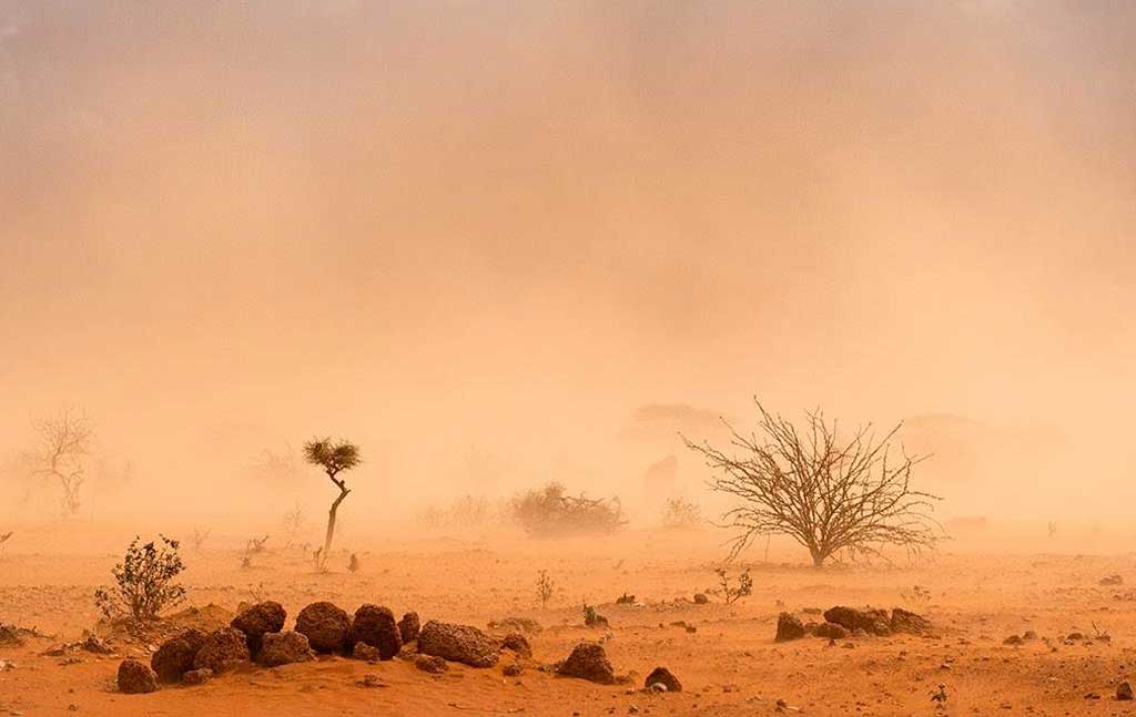 certaines bactéries qui voyagent sur de longues distances à bord de particules de poussière du désert peuvent atterrir vivantes et en pleine forme