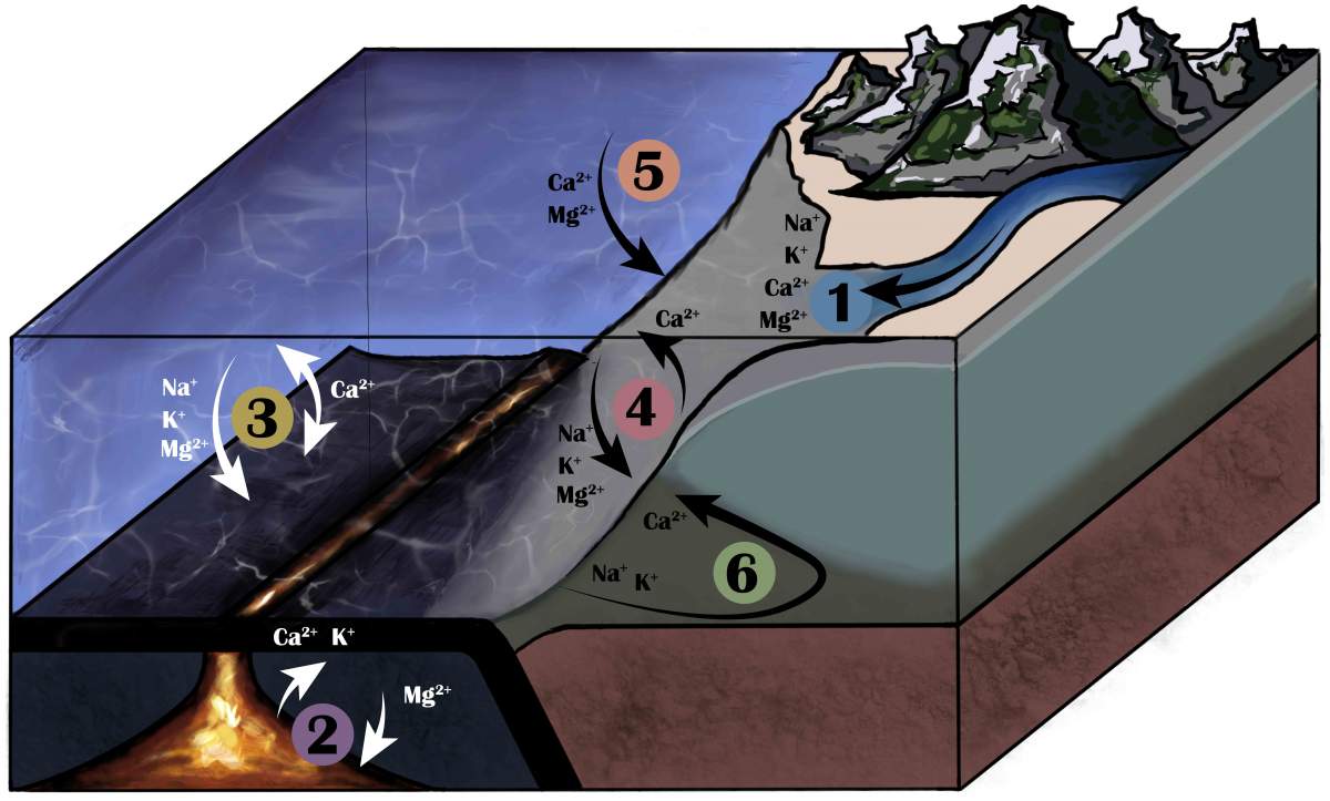 Illustration montrant divers processus et sources ayant une incidence sur la chimie des océans : rivières (1), dorsales océaniques et volcans (2), réactions chimiques sous le fond marin (3), réactions chimiques dans la boue du fond marin (4), roches carbonatées (5) et circulation de l'eau de mer dans les aquifères côtiers (6). 