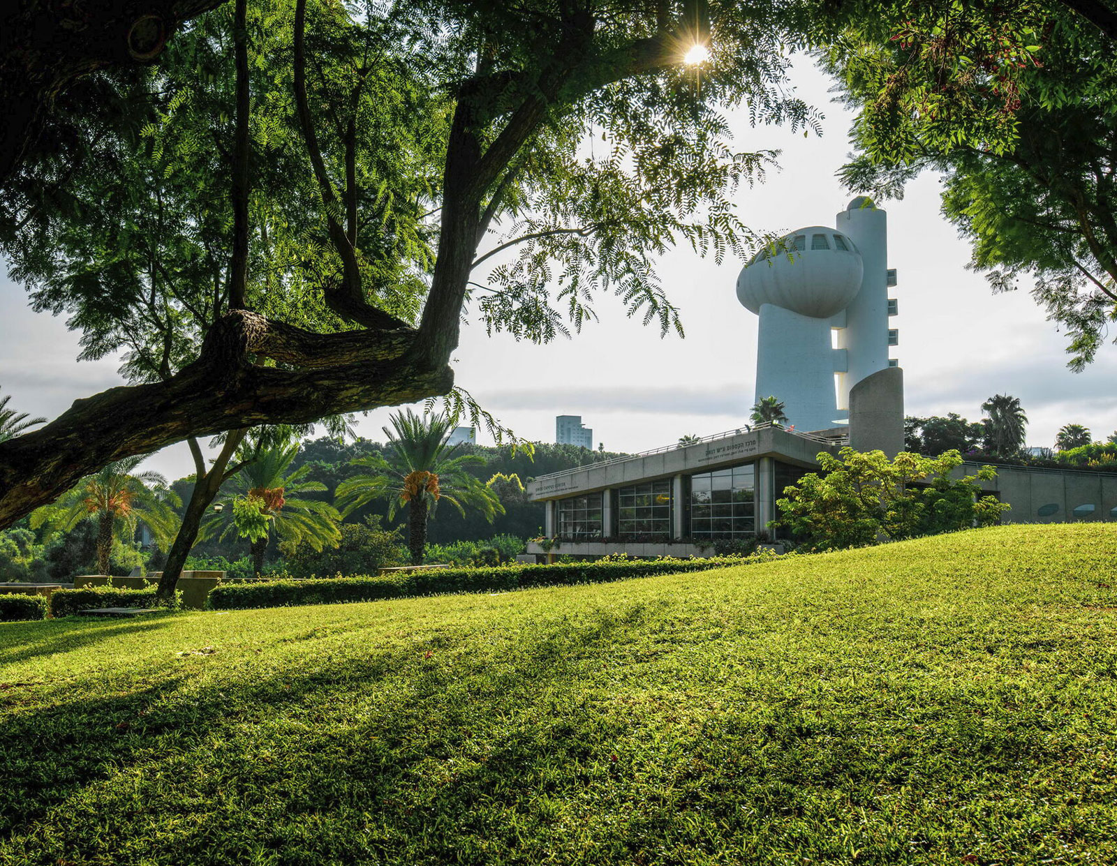 Fonds d'urgence de l'Institut Weizmann des Sciences