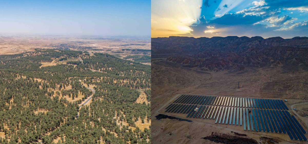 À gauche : la forêt de Yatir, située dans la région nord du désert du Néguev, est la plus grande des forêts plantées en Israël par le Fonds National Juif. À droite : La ferme solaire dans l'Arava où les mesures ont été effectuées. Photos : Jonathan D. Muller

