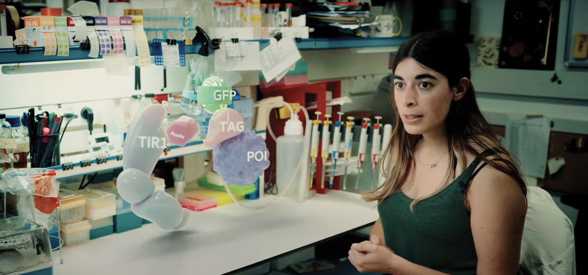 Quand les protéines font grève