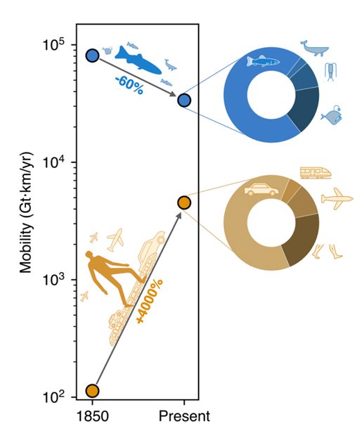 Évolution des mouvements de biomasse au cours des 170 dernières années (en gigatonnes-kilomètres par an). Les mouvements de biomasse marine ont diminué d'environ 60 % depuis 1850, tandis que les mouvements humains ont augmenté de 4 000 %. 