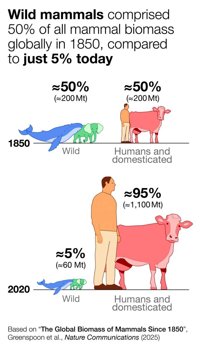 170 ans sur l'échelle 
