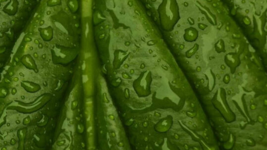 Entre inondations et sécheresses : l'indicateur qui pourrait mieux expliquer ce qui arrive à l'eau à l'ère du changement climatique