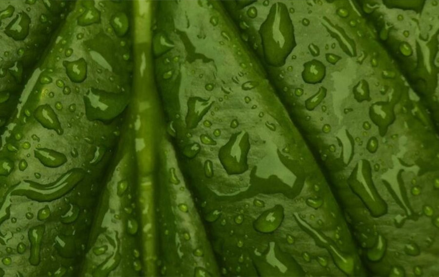 Entre inondations et sécheresses : l'indicateur qui pourrait mieux expliquer ce qui arrive à l'eau à l'ère du changement climatique