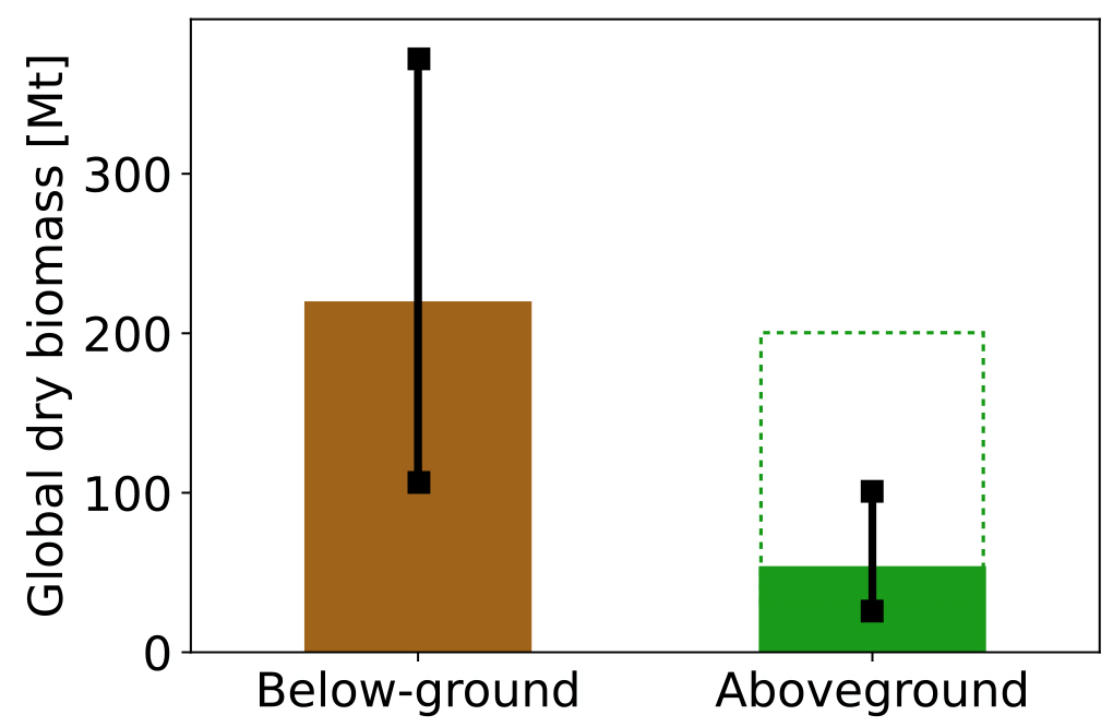 Sous terre : Une estimation de la masse des arthropodes au-dessus et au-dessous du sol 