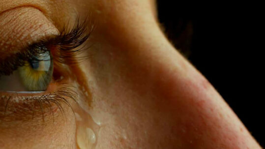 Des larmes sans peur: Renifler des larmes de femmes réduit l'agressivité chez les hommes