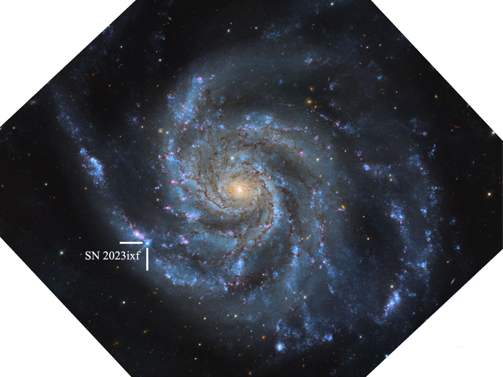 Sur la photo : La supernova 2023ixf s'est produite dans la galaxie Messier 101, également connue sous le nom de galaxie Pinwheel. L'image a été réalisée à partir des données du télescope dans les nuits du 21, 22 et 23 mai 2023. Crédit : Travis Deyoe, Mount Lemmon SkyCenter, Université de l'Arizona (Hosseinzadeh et al. 2023) 